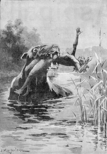 Bunyip 1890
