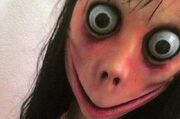 Momo.jpg