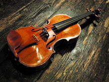 Stradivari Bailloti 1732 - foto Lucio Mondini 02