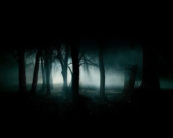 Foresta