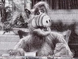 ALF Autopsy