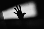 46101360881 ebb3ea63e4 b