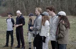 The Cullens baseball