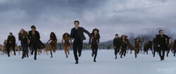 Bd2 battlebegins