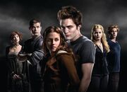 Twilight group shot-small.jpg