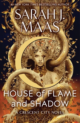 HFS-cover