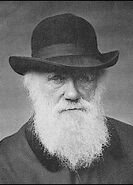 Darwin1880