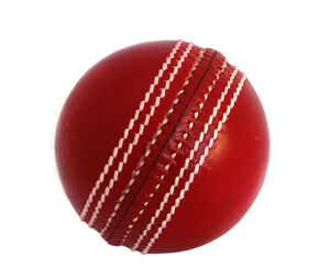 Cricket-ball (1)