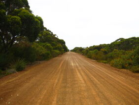 Dirt Road SA