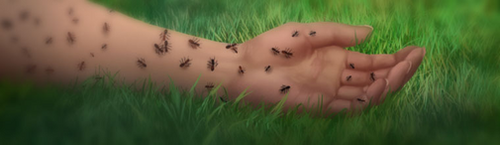 6ECB1BCD-3C8E-4408-A135-70BB13F9DFB8.png