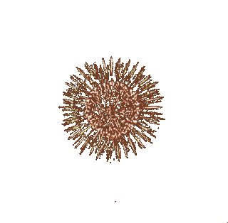 Fireworksmikprofile.gif