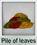 Pile of leaves