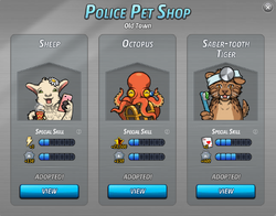 OldTownPetShop