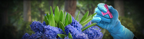 THE EXECUTE　　CRIMINAL FLOWERS The Execute - Criminal Flowers - YouTube