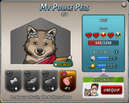 The player can adopt pets and feed them.