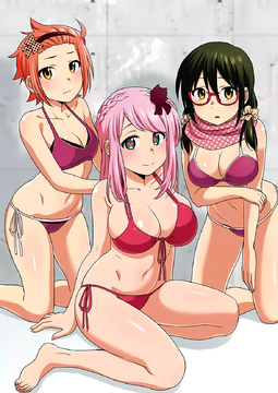 List of Volumes and Chapters