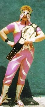 Juana Barraza as "The Lady of Silence".