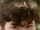 Jacob Wallace