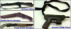 Columbine firearms