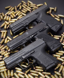 A P2000SK, a USP Compact, and another .357 gun.