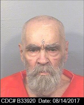 Manson Mugshot 2017