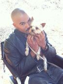 "Shemar and Zara (Aj's pooch) on set." Anna Fleiner Twitter October 27, 2011