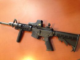 A S&W M&P15