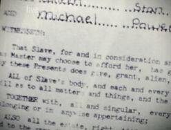 Colleen stan slave contract