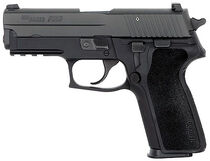 P229R with E2 grips. This is the current production model for the P229.