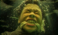 10. Submerged