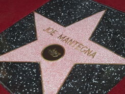 Joe Mantegna Star