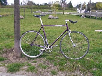 static fixed gear