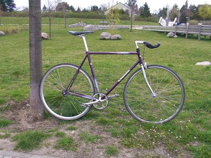 critical fixed gear