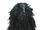 Deathwalker's Ward