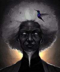 BlackSalander Shakäste Anastasia