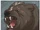 Tova-WereBear-by-Kit-Buss.jpg