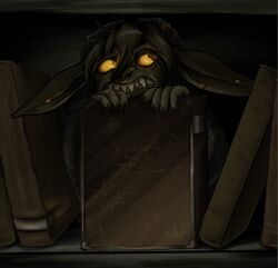 Nott hiding on the bookshelf - Kelley Akers