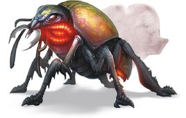 Giant fire beetle
