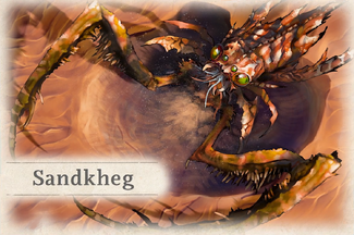 Sandkheg - Clara