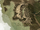 Seashale.PNG
