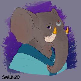 Thrascuur - @svalbirdd