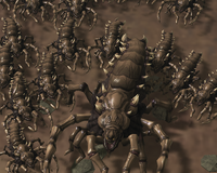 A Manticore swarm