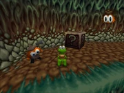 Randomly selected image