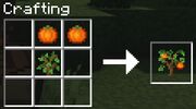 Persimmon Tree Cr