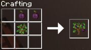 Plum Tree Cr