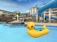 Duck Pool Float