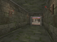Cage Spot ~ Inside