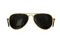 Arch Sunglasses (GR)