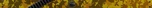 GoldenCamo NC