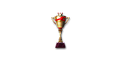 Rank Match Trophy